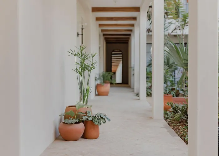 Sendero Hotel Nosara